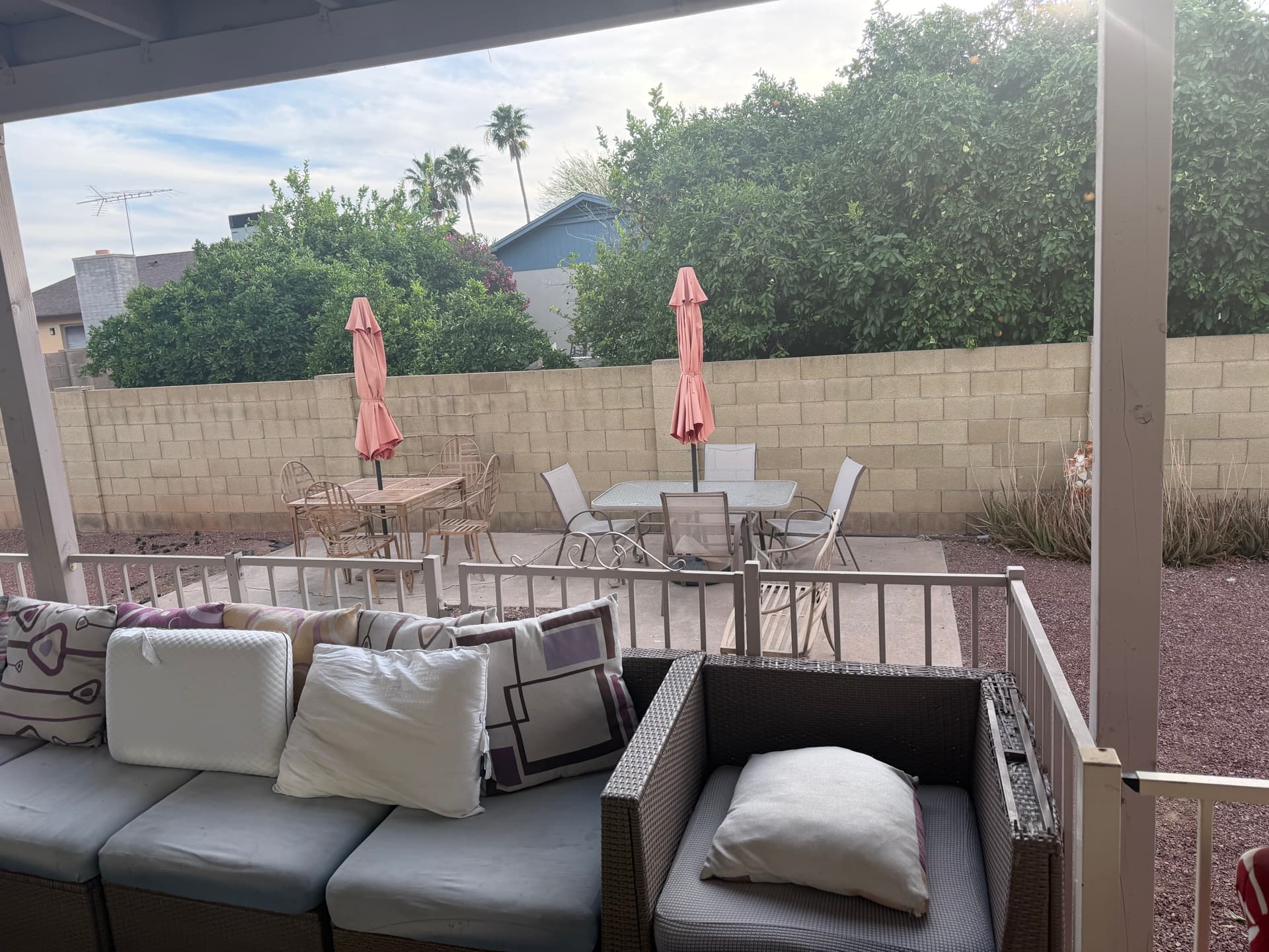 Covered back patio shaded by citrus trees